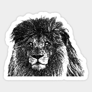 Lion Sticker